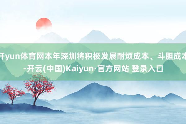 开yun体育网本年深圳将积极发展耐烦成本、斗胆成本-开云(中国)Kaiyun·官方网站 登录入口