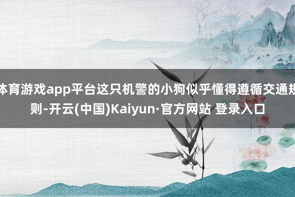 体育游戏app平台这只机警的小狗似乎懂得遵循交通规则-开云(中国)Kaiyun·官方网站 登录入口