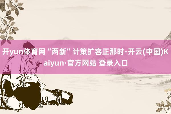 开yun体育网“两新”计策扩容正那时-开云(中国)Kaiyun·官方网站 登录入口