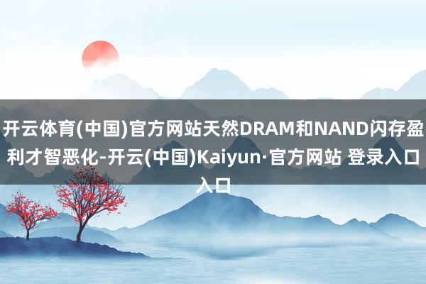 开云体育(中国)官方网站天然DRAM和NAND闪存盈利才智恶化-开云(中国)Kaiyun·官方网站 登录入口