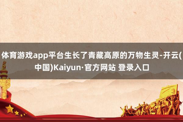 体育游戏app平台生长了青藏高原的万物生灵-开云(中国)Kaiyun·官方网站 登录入口