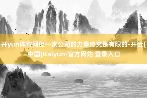 开yun体育网但一家公司的力量终究是有限的-开云(中国)Kaiyun·官方网站 登录入口