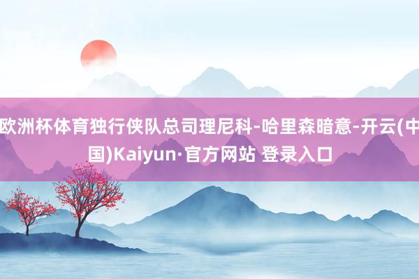 欧洲杯体育独行侠队总司理尼科-哈里森暗意-开云(中国)Kaiyun·官方网站 登录入口