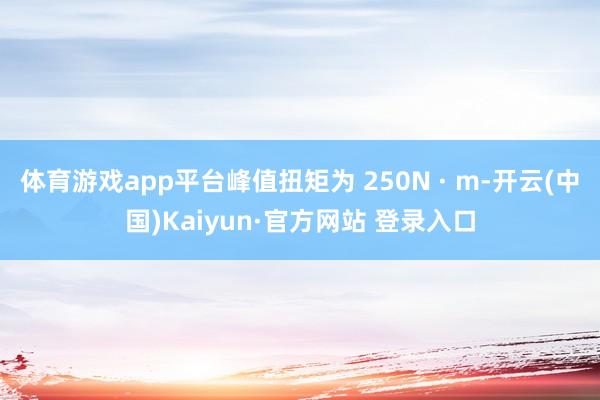 体育游戏app平台峰值扭矩为 250N · m-开云(中国)Kaiyun·官方网站 登录入口