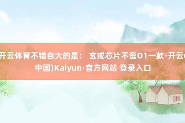 开云体育不错自大的是： 玄戒芯片不啻O1一款-开云(中国)Kaiyun·官方网站 登录入口