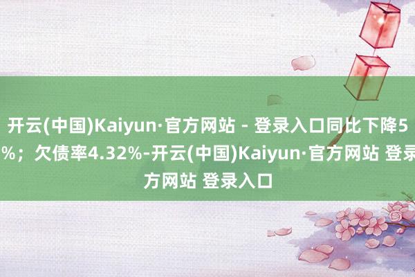 开云(中国)Kaiyun·官方网站 - 登录入口同比下降58.82%；欠债率4.32%-开云(中国)Kaiyun·官方网站 登录入口