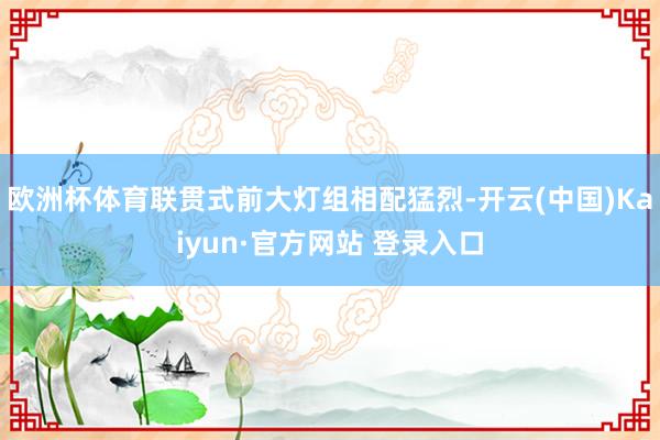 欧洲杯体育联贯式前大灯组相配猛烈-开云(中国)Kaiyun·官方网站 登录入口