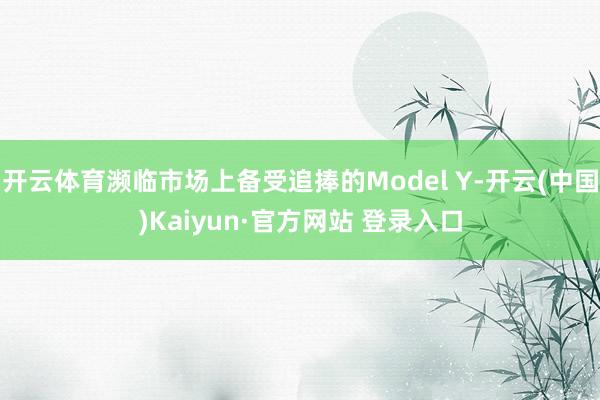 开云体育濒临市场上备受追捧的Model Y-开云(中国)Kaiyun·官方网站 登录入口