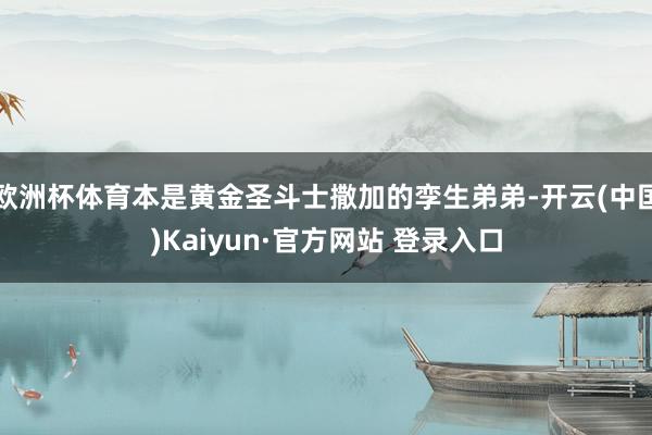 欧洲杯体育本是黄金圣斗士撒加的孪生弟弟-开云(中国)Kaiyun·官方网站 登录入口