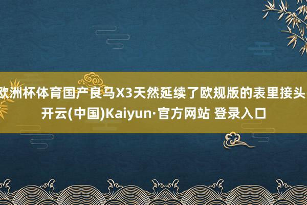 欧洲杯体育国产良马X3天然延续了欧规版的表里接头-开云(中国)Kaiyun·官方网站 登录入口