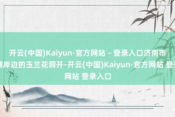 开云(中国)Kaiyun·官方网站 - 登录入口济南市大明湖岸边的玉兰花洞开-开云(中国)Kaiyun·官方网站 登录入口