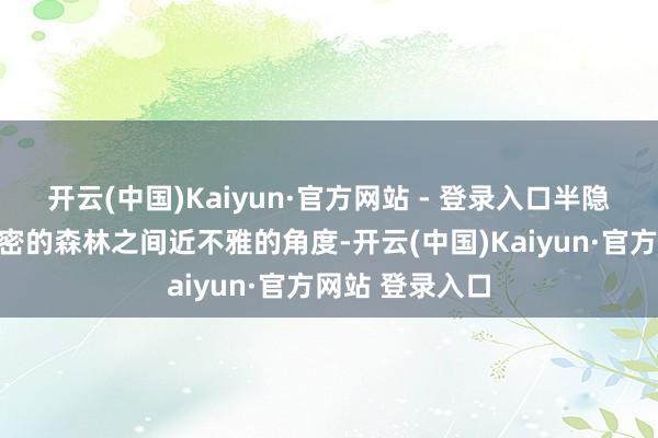 开云(中国)Kaiyun·官方网站 - 登录入口半隐于一派苍翠稠密的森林之间近不雅的角度-开云(中国)Kaiyun·官方网站 登录入口